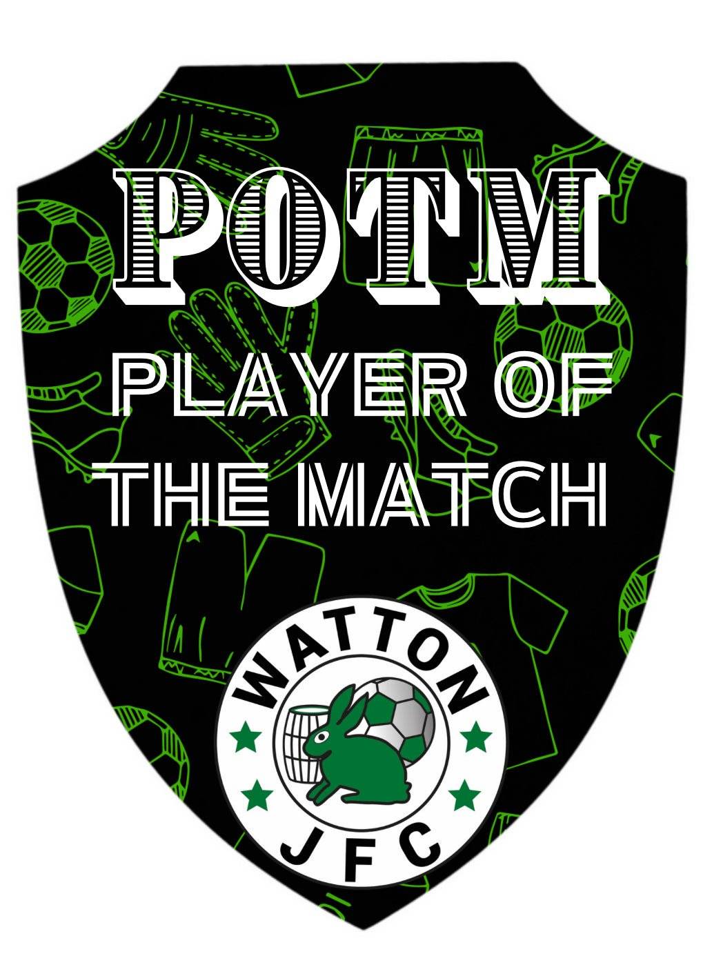 Player of the Match Shield (15mm Thickness) - ZM Sports