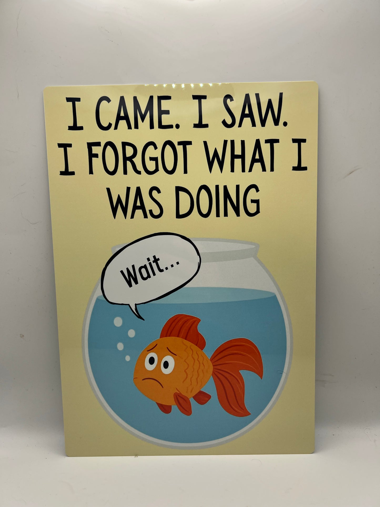 I Came. I Saw. I Forgot What I Was Doing - A4 Aluminium sign