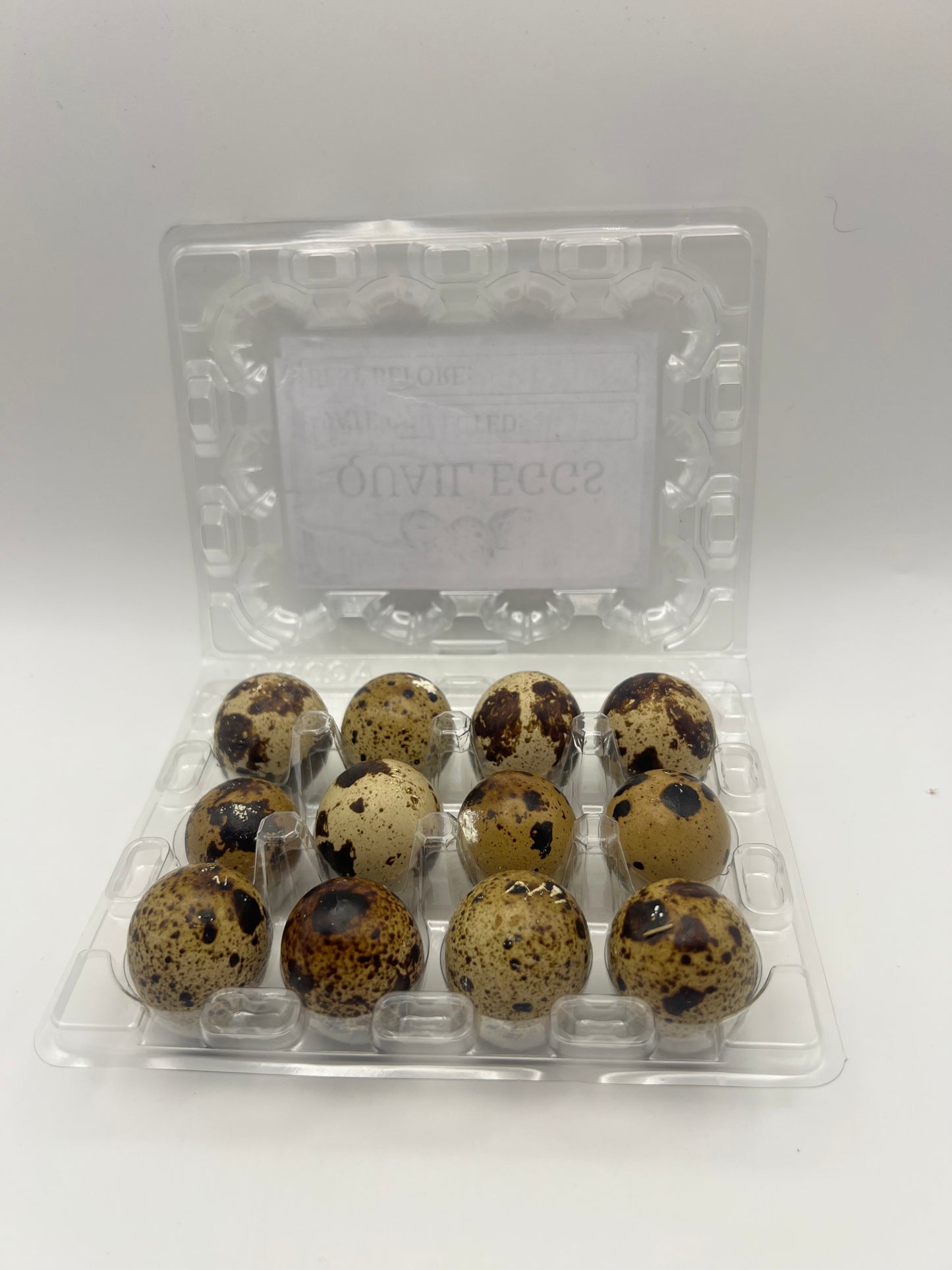 Empty Clear Plastic Quail Egg Boxes | Egg Cartons | Pack of 10–150