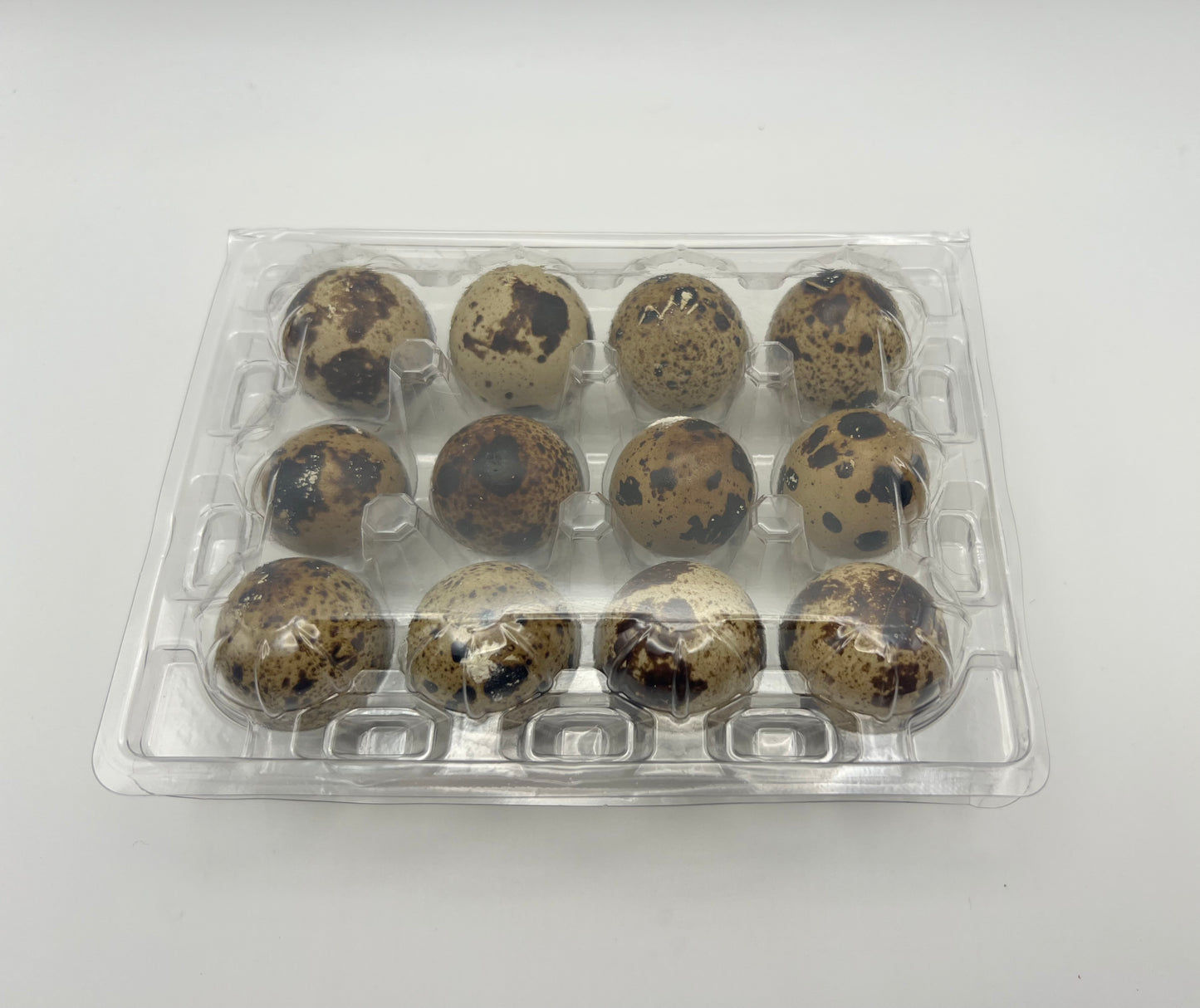 Empty Clear Plastic Quail Egg Boxes | Egg Cartons | Pack of 10–150