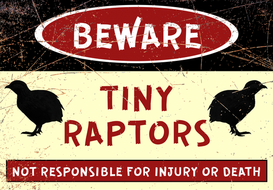 Beware - Tiny Raptors - Just quail - A4 Aluminium sign
