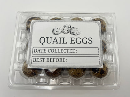 Quail Egg Boxes with Printed Labels | Thermal Printed Egg Cartons | Pack of 10–150