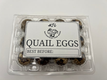 Personalised Quail Egg Boxes with Custom Logo | Branded Plastic Egg Cartons