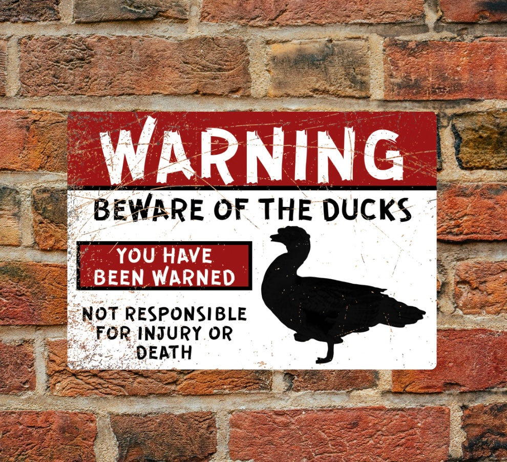 Warning - Beware of the ducks - A4 Aluminium sign