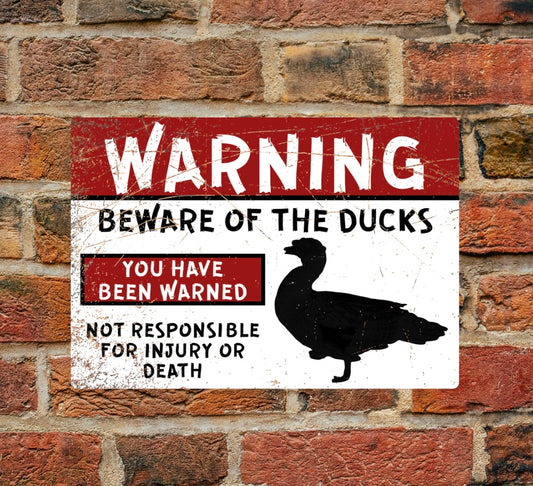 Warning - Beware of the ducks - A4 Aluminium sign